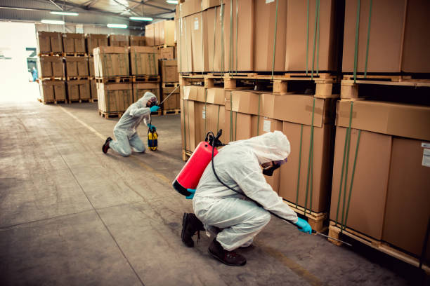 Best Rat Extermination Near Me  in Oakdale, NY