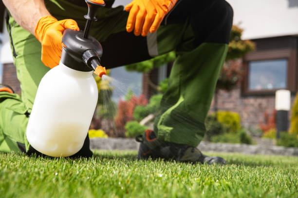 Best Termite Control Services  in Oakdale, NY