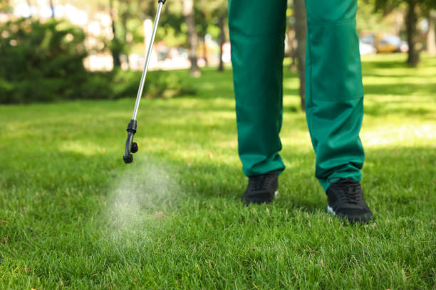 Best Termite Control Services  in Oakdale, NY