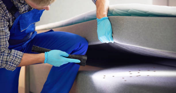 Best Pest Removal Services  in Oakdale, NY