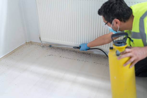 Best Commercial Pest Control Services  in Oakdale, NY